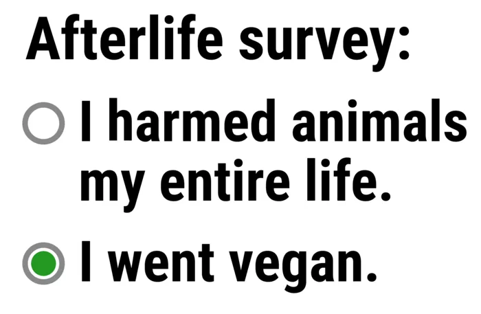 Vegan message sticker: I Went Vegan