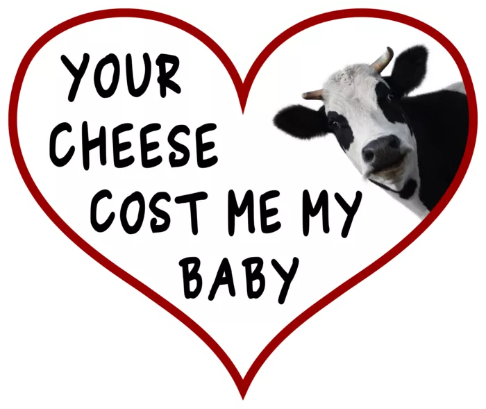 Vegan message sticker: Your Cheese Cost Me My Baby