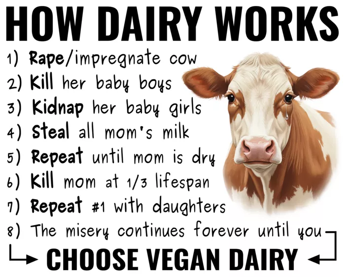 Vegan message sticker: How Dairy Works