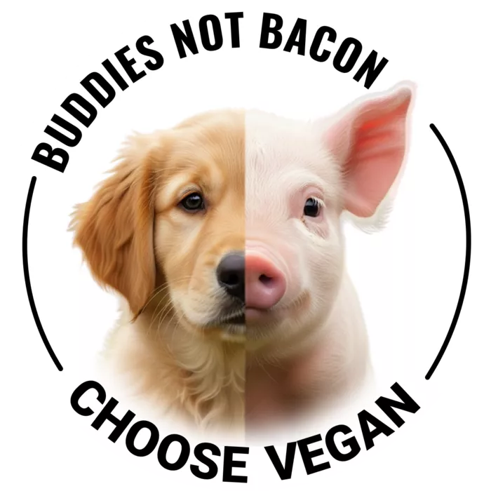 Vegan message sticker: Buddies Not Bacon - Choose Vegan