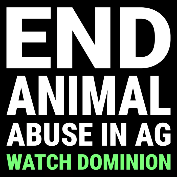 Vegan message sticker: End Animal Abuse In Ag - Watch Dominion