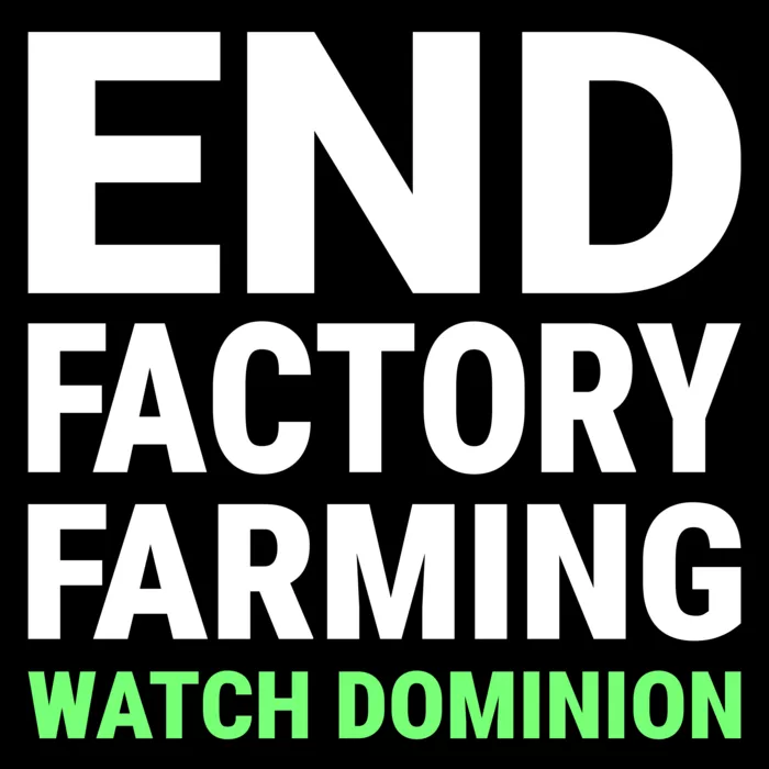 Vegan message sticker: End Factory Farming - Watch Dominion