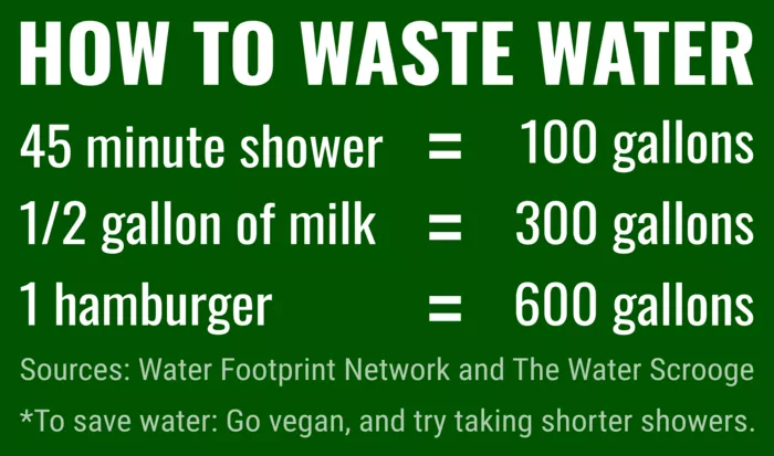 Vegan message sticker: How To Waste Water - Vegan Message