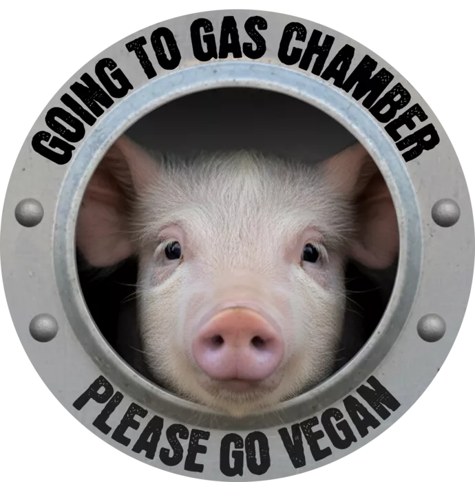 Vegan message sticker: Please Go Vegan