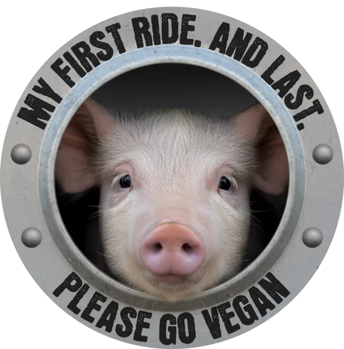 Vegan message sticker: My First Ride And Last - Please Go Vegan