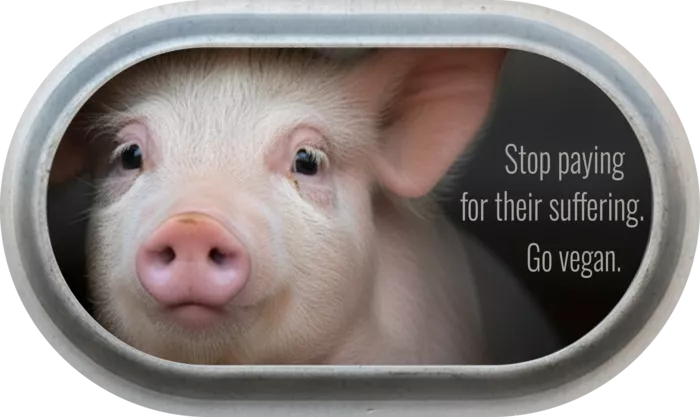 Vegan message sticker: Stop Paying For Their Suffering - Go Vegan