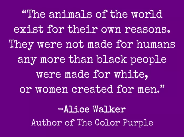 Vegan message sticker: Animals Exist For Their Own Reasons