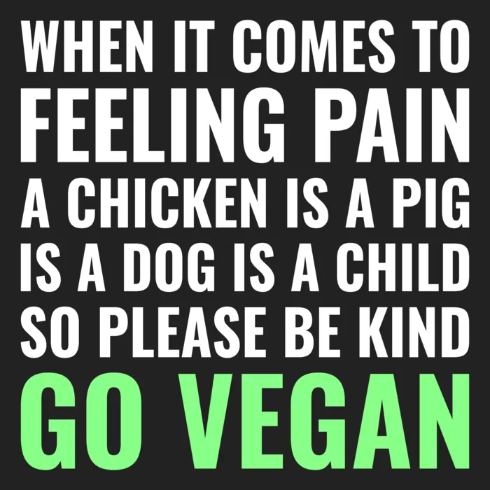 Vegan message sticker: Animals Feel Pain (PETA Inspired)